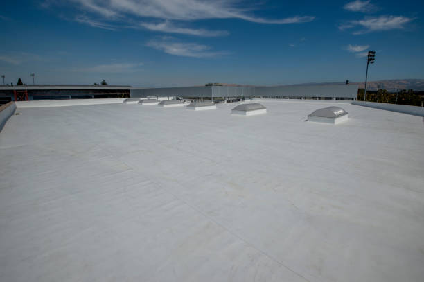 Steel Roofing in Naranja, FL